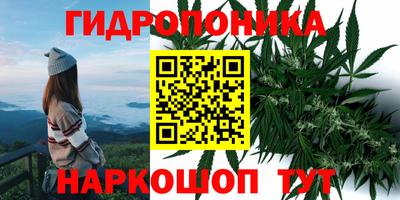 мдпв Керчь