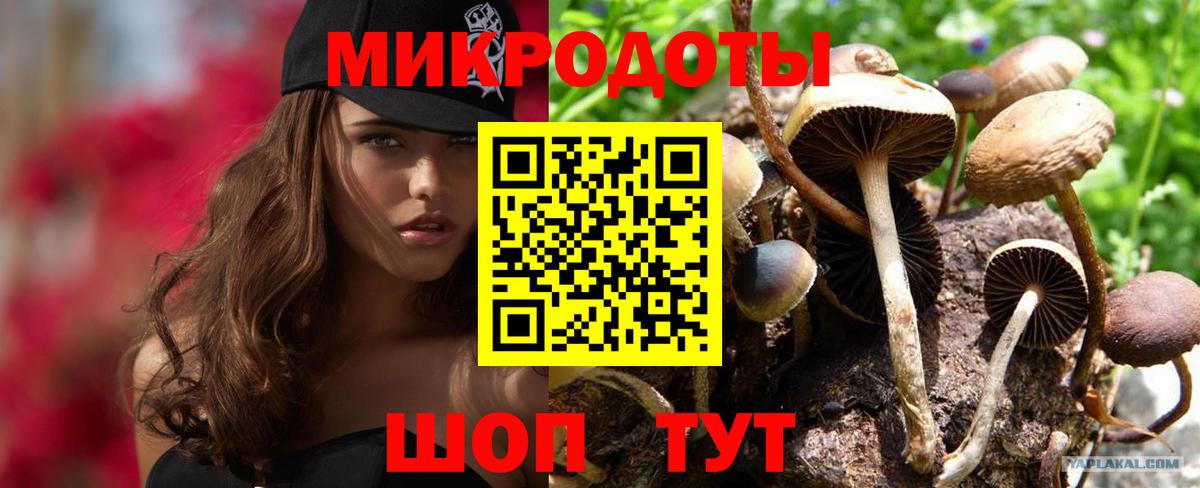 Асино  Псилоцибиновые грибы ЛСД  Псилоцибиновые грибы GOLDEN TEACHER  Вход с VPN 